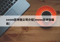 sonm区块链公司介绍[muso区块链骗局]